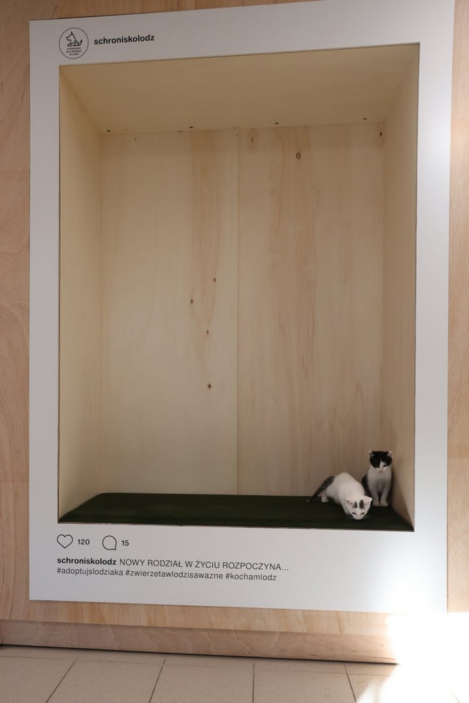 Łódź. Nowa przestrzeń adopcyjna w schronisku w Łodzi