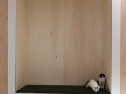 Łódź. Nowa przestrzeń adopcyjna w schronisku w Łodzi