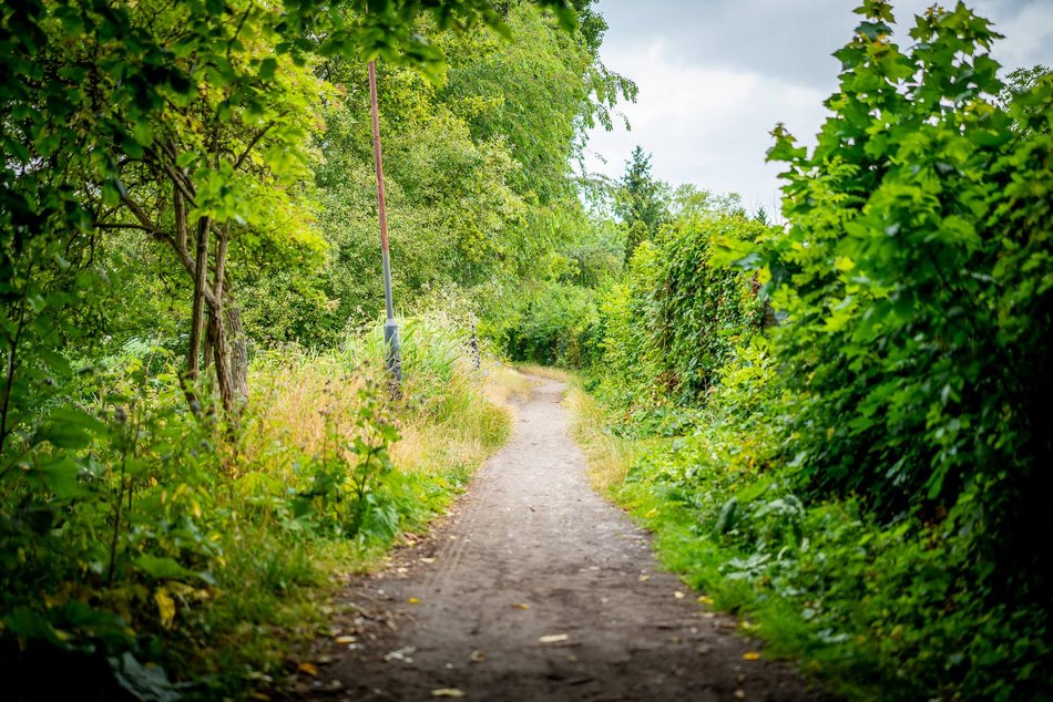 Łódź. Staw przy Przędzalnianej w Łodzi w trakcie czyszczenia. Tam będzie jeszcze piękniej!