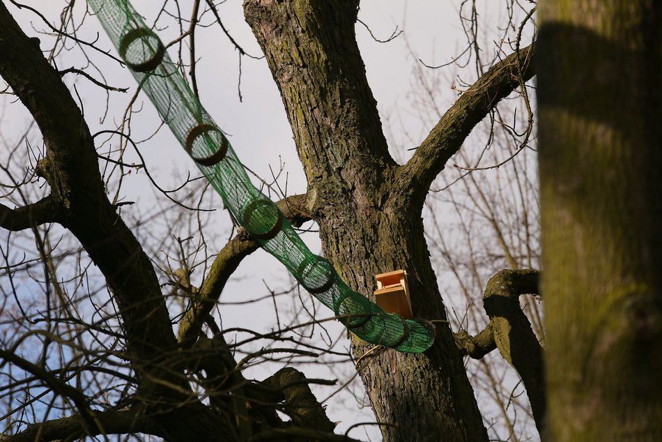 Plac zabaw dla wiewiórek w Łodzi