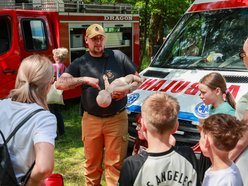 Łódź. Dzień Dziecka w parku na Młynku w Łodzi. Dmuchańce, alpaki i skutery wodne
