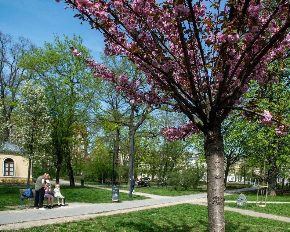 Łódź. Park Moniuszki w wiosennej odsłonie. Kolorowe kadry z centrum miasta