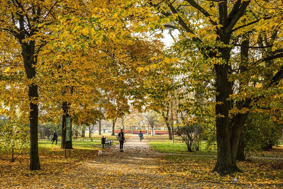 Najpiękniejsze barwy jesieni w Łodzi