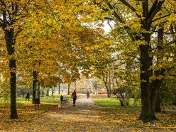 Najpiękniejsze barwy jesieni w Łodzi