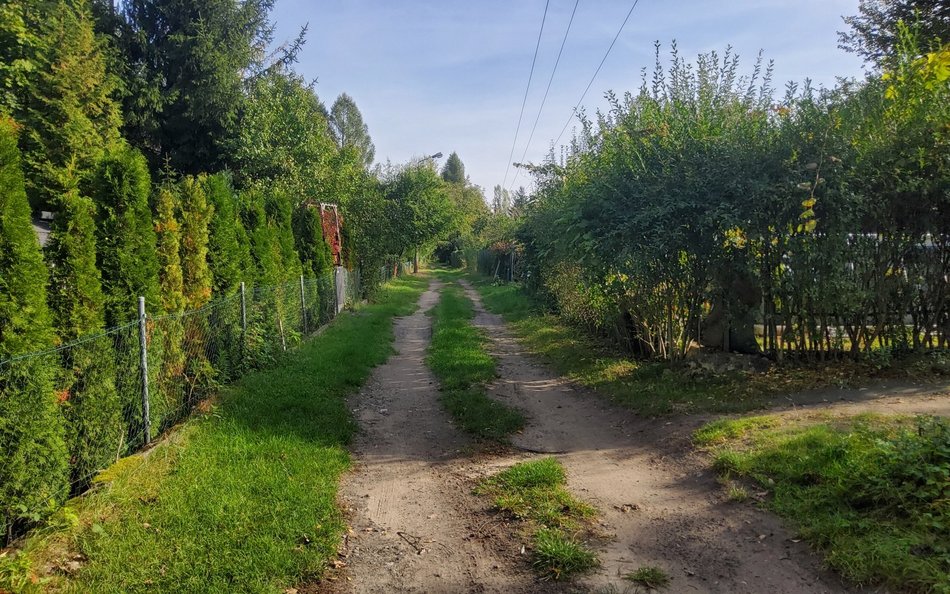 W swoje władanie dolinę strugi wzięli działkowcy, którzy ulokowali się między ulicą Łomnicką a torami kolejowymi.