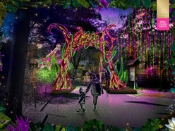 Park Miliona Świateł znów w Łodzi! Nowe atrakcje, przedsprzedaż biletów i parking za 5 złotych!