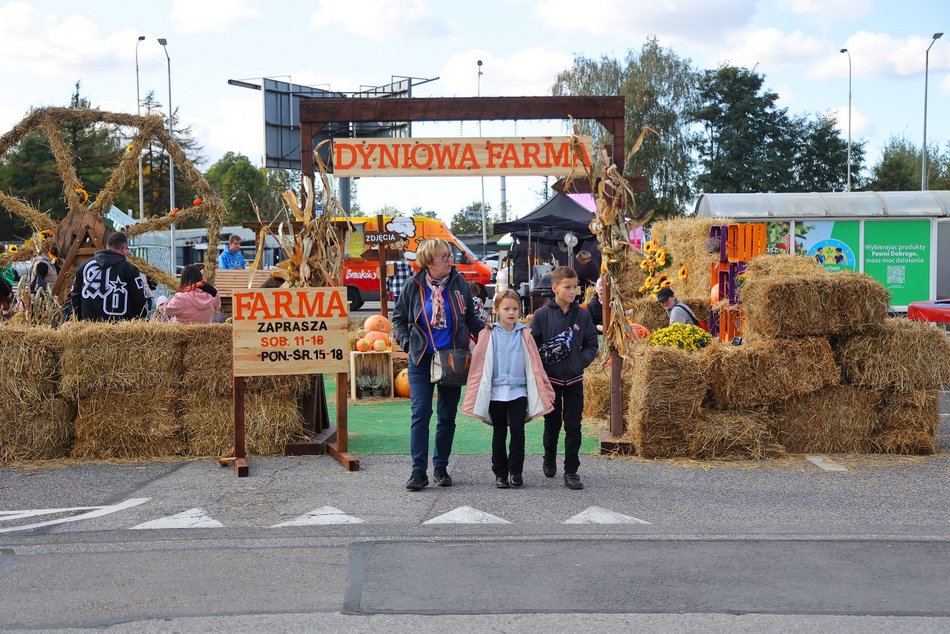 Farma Dyniowa w Pasażu Łódzkim
