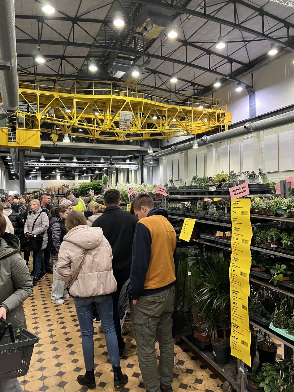 Festiwal Roślin w EC1 Łódź