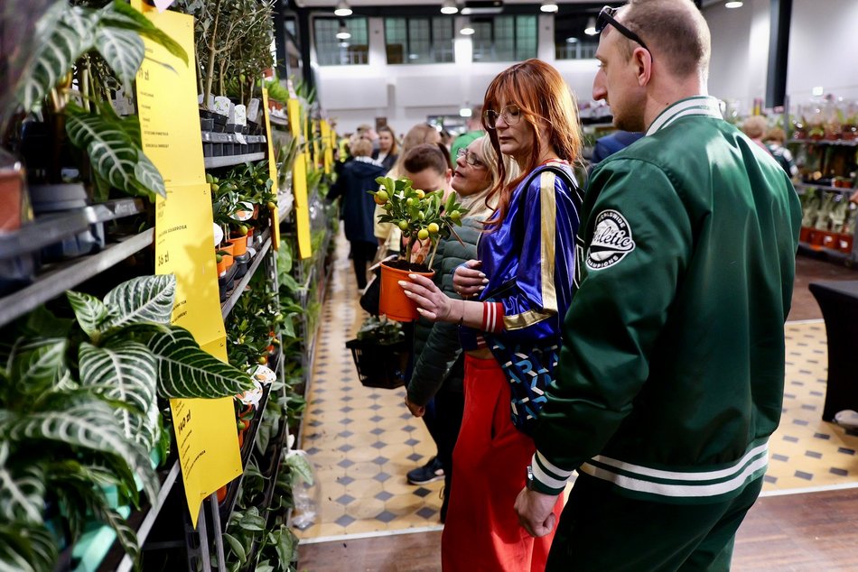 Łódź. Przyjdź na Festiwal Roślin w EC1 Łódź! Nowe gatunki, okazy kolekcjonerskie i więcej
