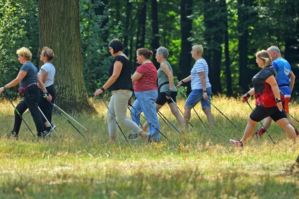 Łódź. Nordic walking