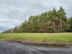 Łódź. Ulica Opolska