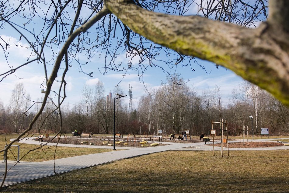 Łódź. Wiosenne porządki w Parku na Janowie. Tak Łódź dba o zieleń po zimie!