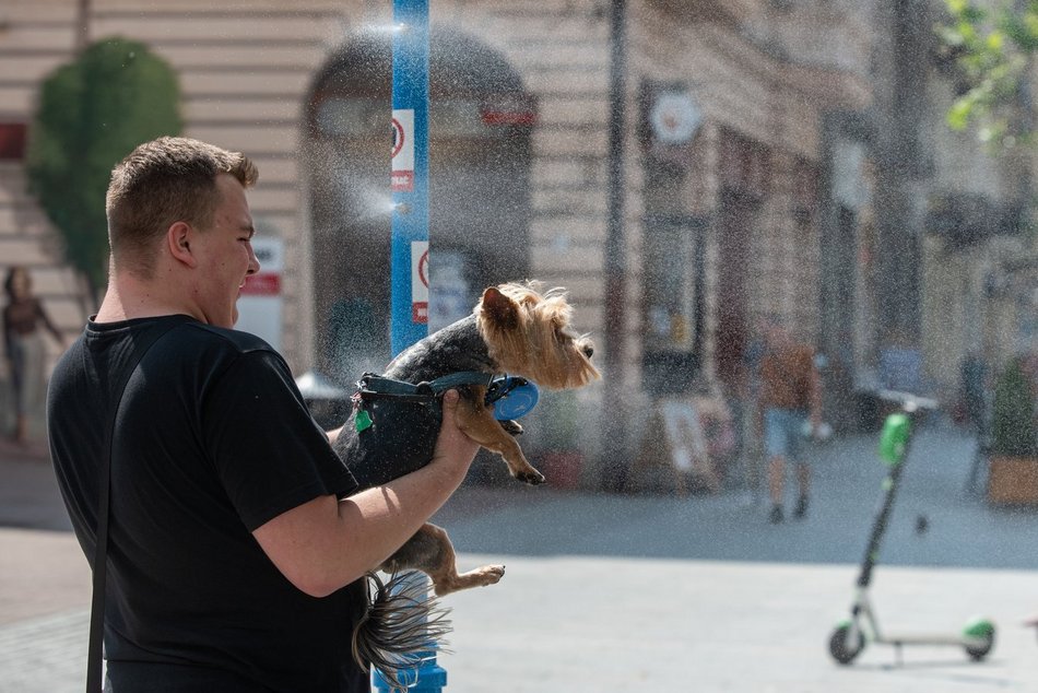 Łódź. Upały w Łodzi nie odpuszczają! Sprawdź, jak zadbać o siebie i swoich bliskich