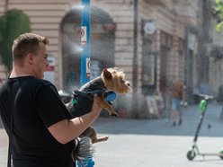 Łódź. Upały w Łodzi nie odpuszczają! Sprawdź, jak zadbać o siebie i swoich bliskich