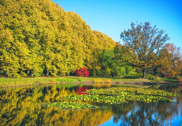 Łódź. Kawałek Ogrodu Botanicznego w Łodzi… u siebie w domu? Wybierz się na wyjątkowe warsztaty 