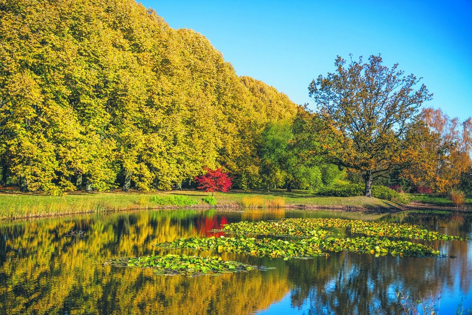 Łódź. Kawałek Ogrodu Botanicznego w Łodzi… u siebie w domu? Wybierz się na wyjątkowe warsztaty 