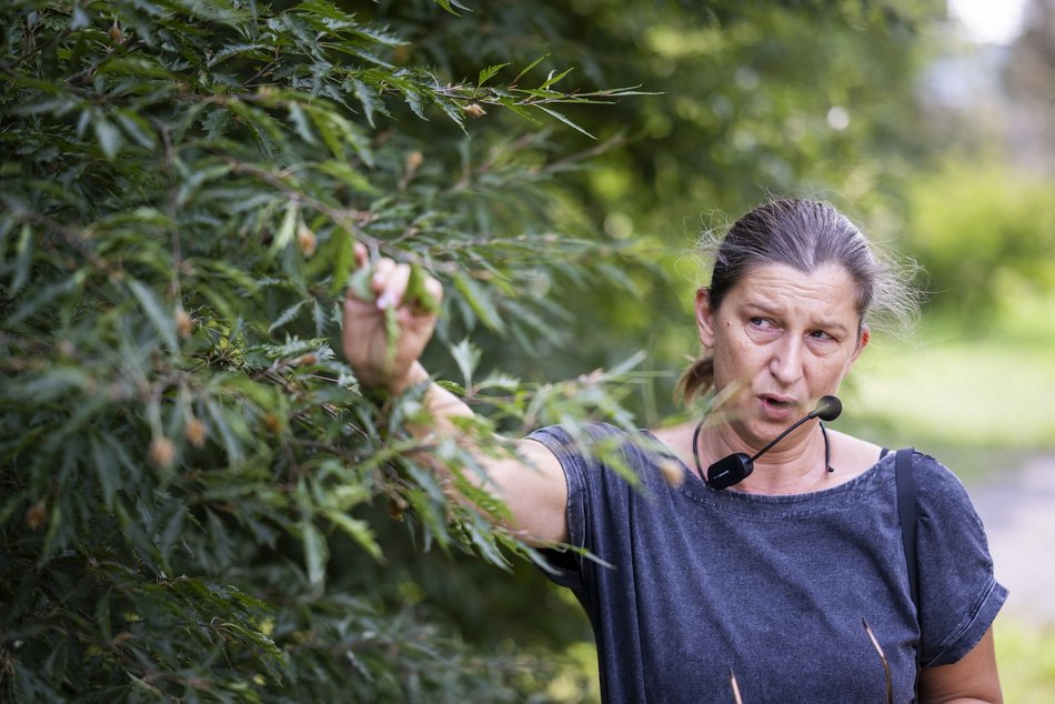 Warsztaty w Ogrodzie Botanicznym w Łodzi