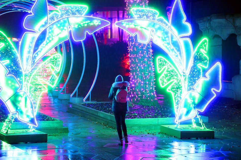 Park Miliona Świateł w Orientarium Zoo Łódź