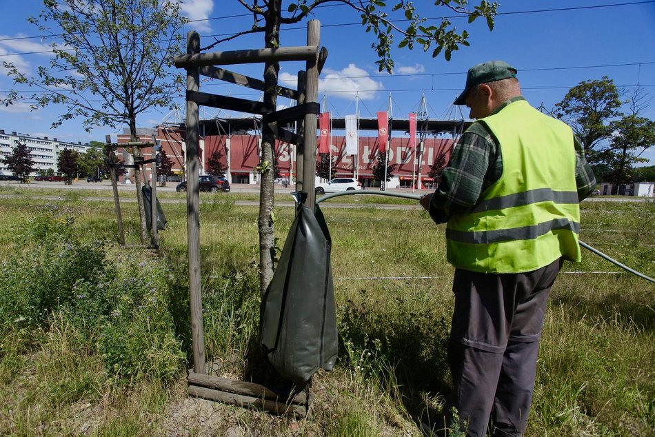 podlewanie roślinności