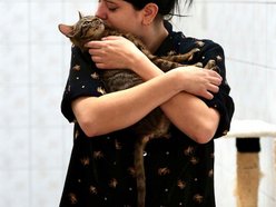 Łódź. Dom bez kota to głupota! Poznaj i adoptuj podopiecznych schroniska w Łodzi