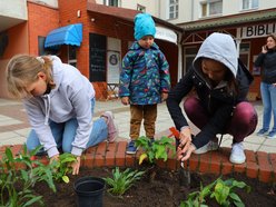 Łódzkie Szkoły dla Klimatu. Ponad 2 miliony złotych na edukację ekologiczną dzieci
