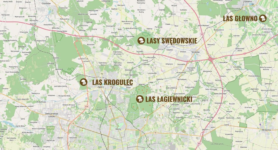 grafika z poradami dotyczącymi zbierania grzybów