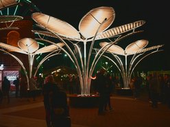 Light Move Festival 2025 Łódź rozpoczęty! Zobacz gigantyczne kwiaty w Manufakturze