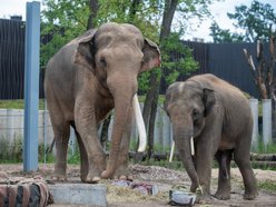 Łódź. Co robić w weekend w Łodzi? Hawaje na Fali, Galante Targi, Dzień Słonia, koncerty i inne