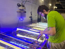 Łódź. Największy przemyt w historii udaremniony! Niemal 1000 koralowców uratowanych przez Orientarium