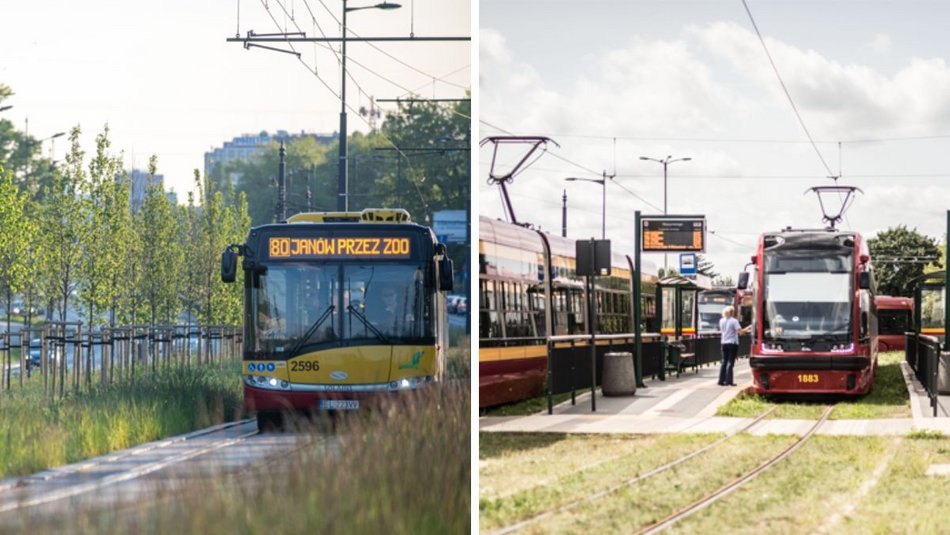 Łódź. Zmiany w MPK Łódź od października. Które autobusy i tramwaje wrócą na swoje trasy?