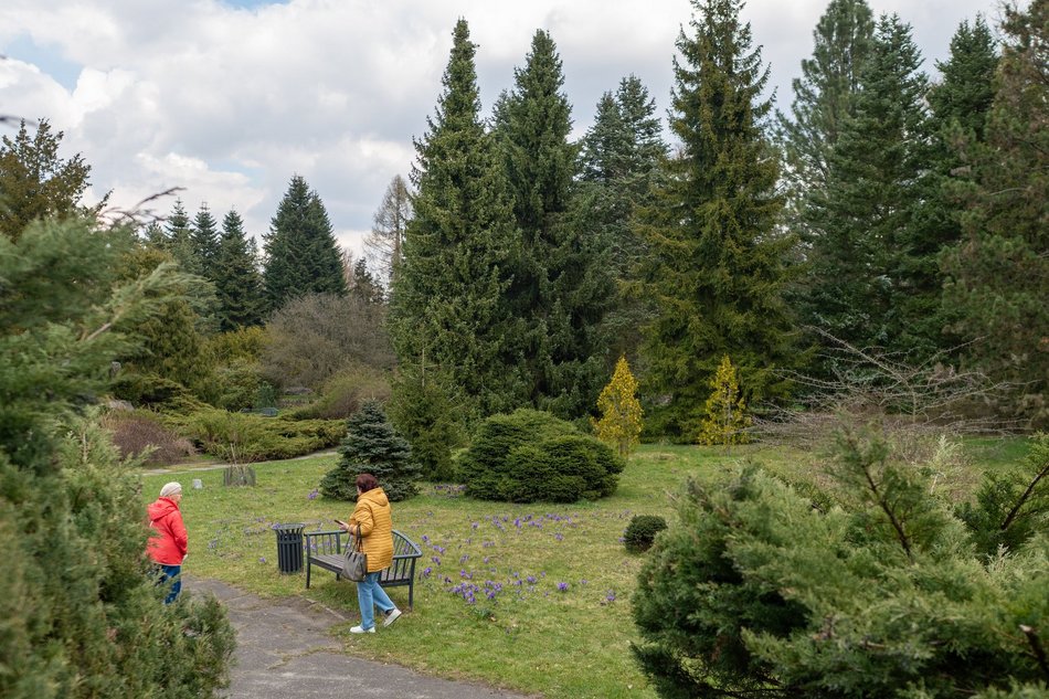 Wiosenny Ogród Botaniczny w Łodzi. Spacer wśród budzącej się do życia przyrody