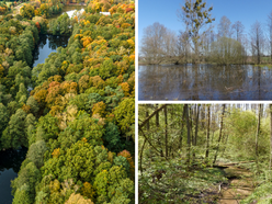 Łódź. Parki Krajobrazowe w Łódzkiem. Czy wiedziałeś, że jest ich aż 7?