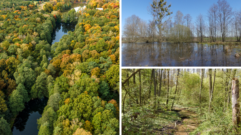 Łódź. Parki Krajobrazowe w Łódzkiem. Czy wiedziałeś, że jest ich aż 7?