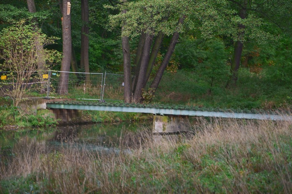 Będzie nowa kładka w parku Julianowskim w Łodzi. Remont już się rozpoczął