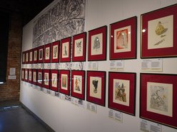 Łódź. Salvador Dali w Muzeum Fabryki w Łodzi. Tę wystawę trzeba odwiedzić!