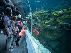 1 mln gości w Orientarium Zoo Łódź