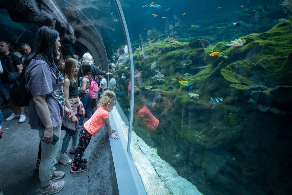 1 mln gości w Orientarium Zoo Łódź