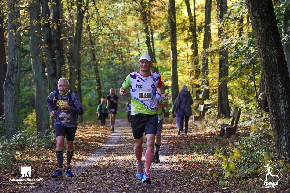 biegacze w lesie