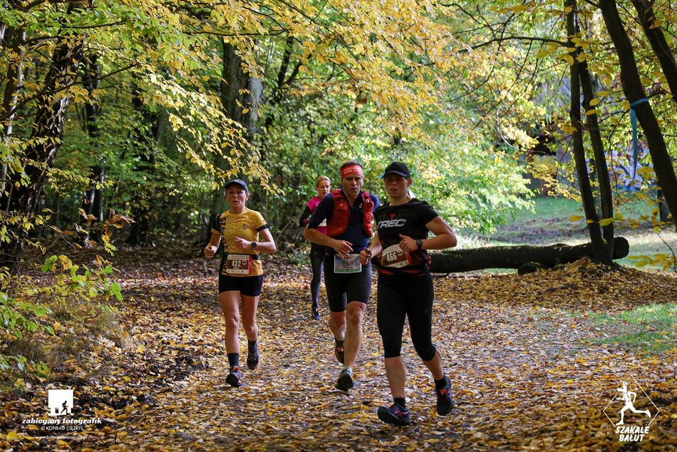 biegacze w lesie