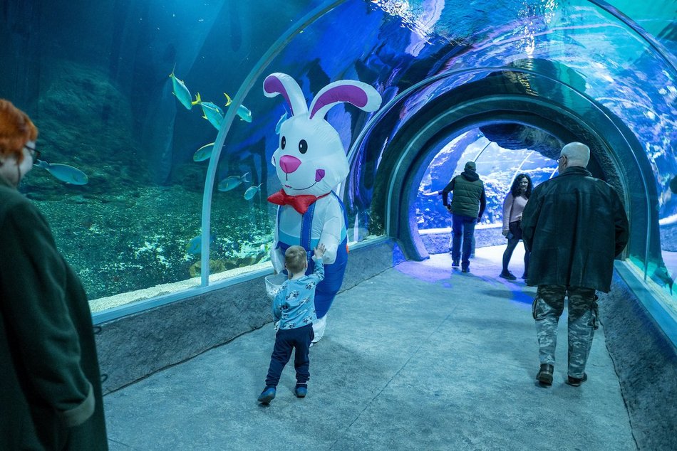 Łódź. Wielkanocny zając w Orientarium Zoo Łódź
