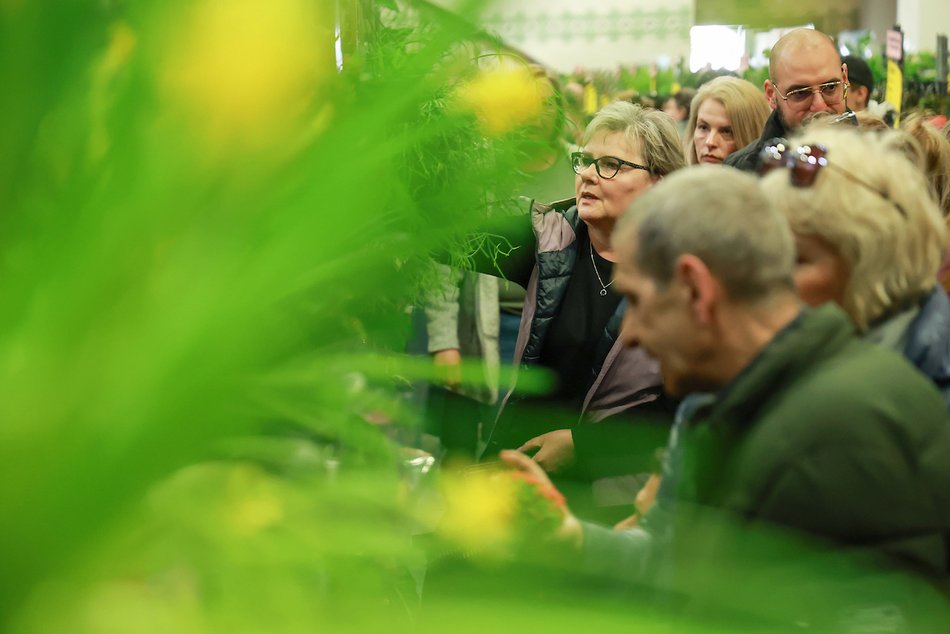 Łódź. Wystartował Festiwal Roślin! Wybierasz się?