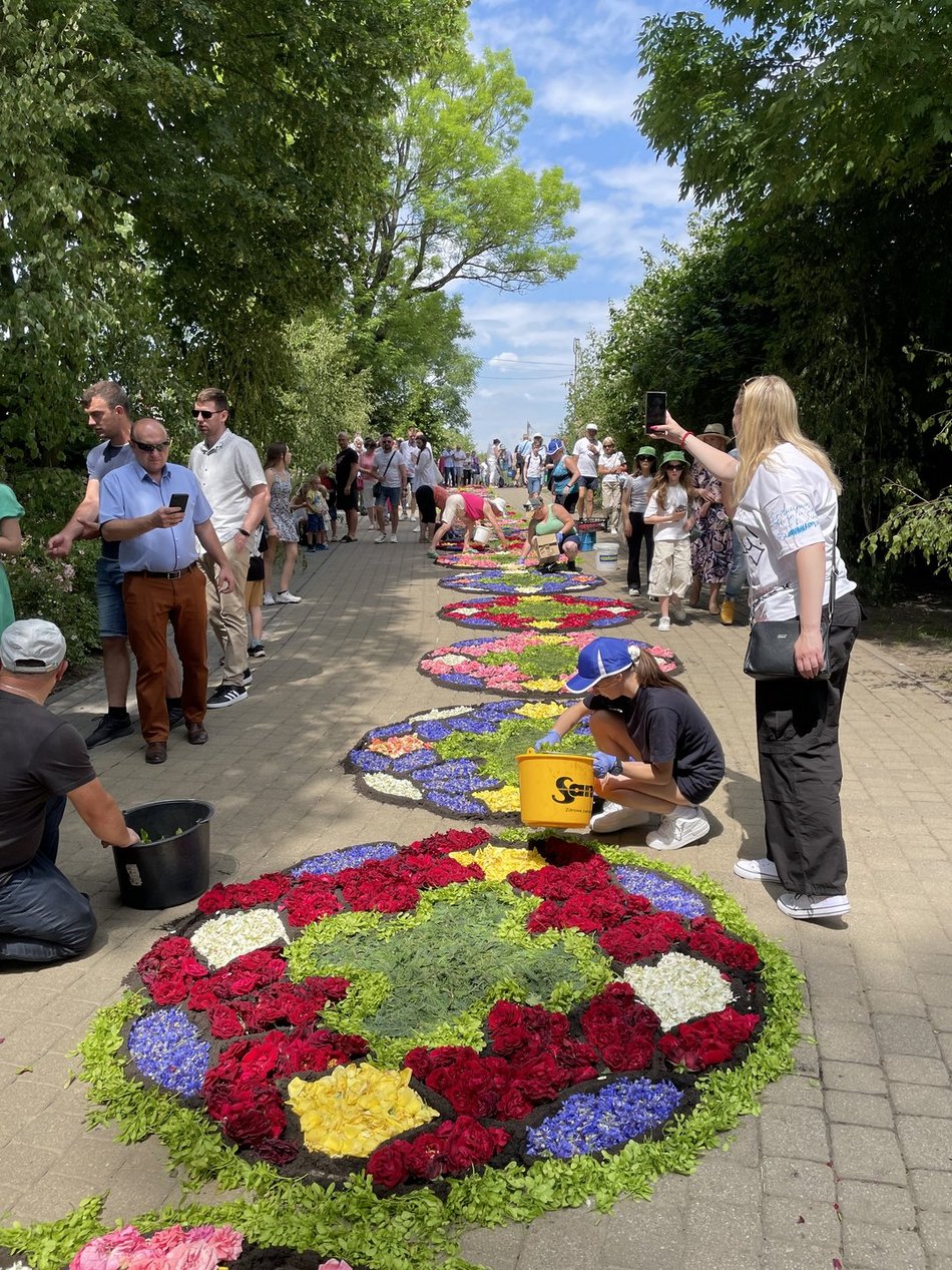 Kwiatowe dywany w Spycimierzu