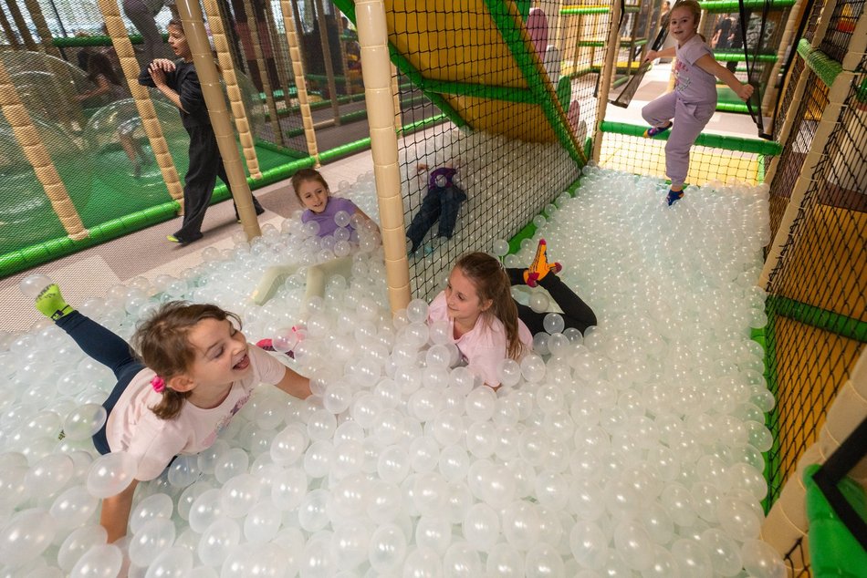 Łódź. Jak wygląda największy figloraj w Łodzi? Zobacz zdjęcia z Orientkowa w Orientarium Zoo Łódź