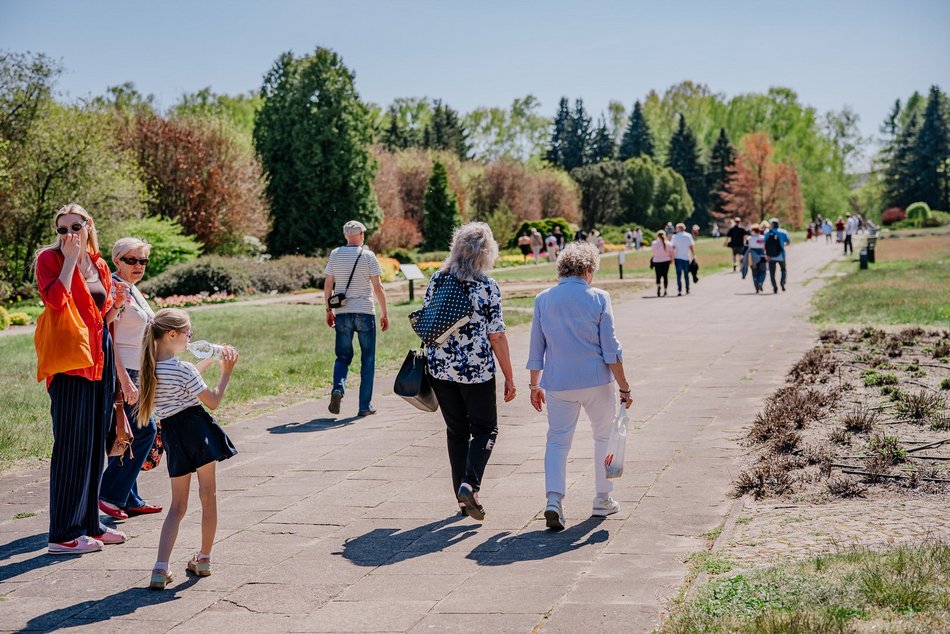 Łódź. Ogród Botaniczny w Łodzi w wiosennej odsłonie