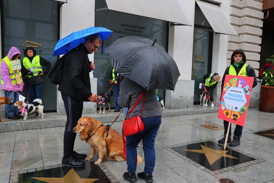 Parada kundelków w Łodzi 2025 przeszła ulicami. Skala słodyczy wysoka jak nigdy!