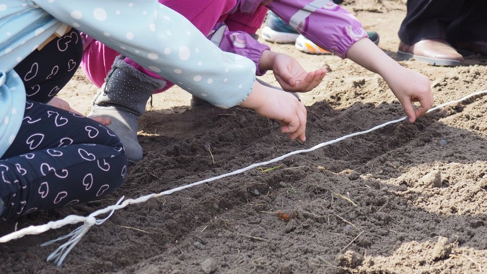 Łódź. Wiosenne prace ogrodnicze w Ogrodzie Botanicznym