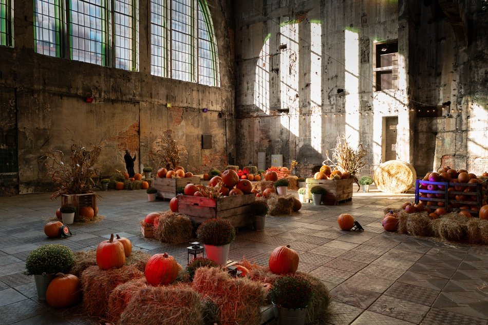 Farma Dyniowa w Fuzji. Poczuj klimat jesieni w centrum Łodzi!