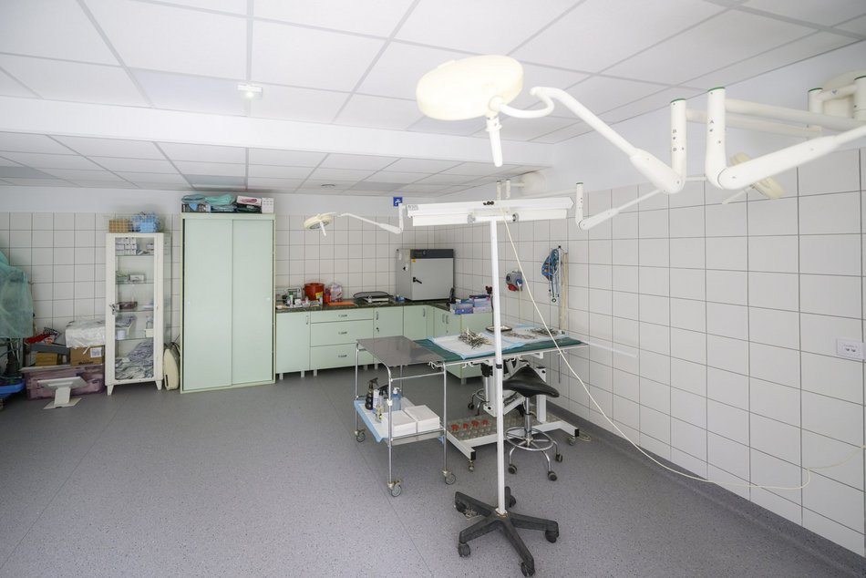 Schronisko w Łodzi świętuje koniec remontu! I zaczyna współpracę m.in. z Widzewem Łódź