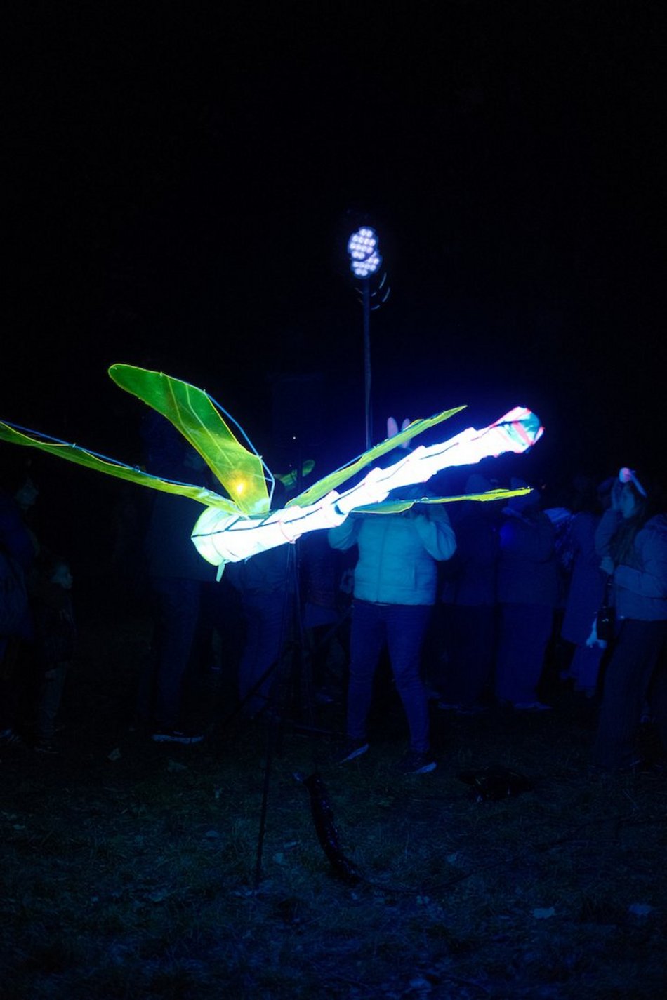 Byliście już w parku Sienkiewicza? Bajkowy świat Light Move Festival 2025 Łódź [ZDJĘCIA]