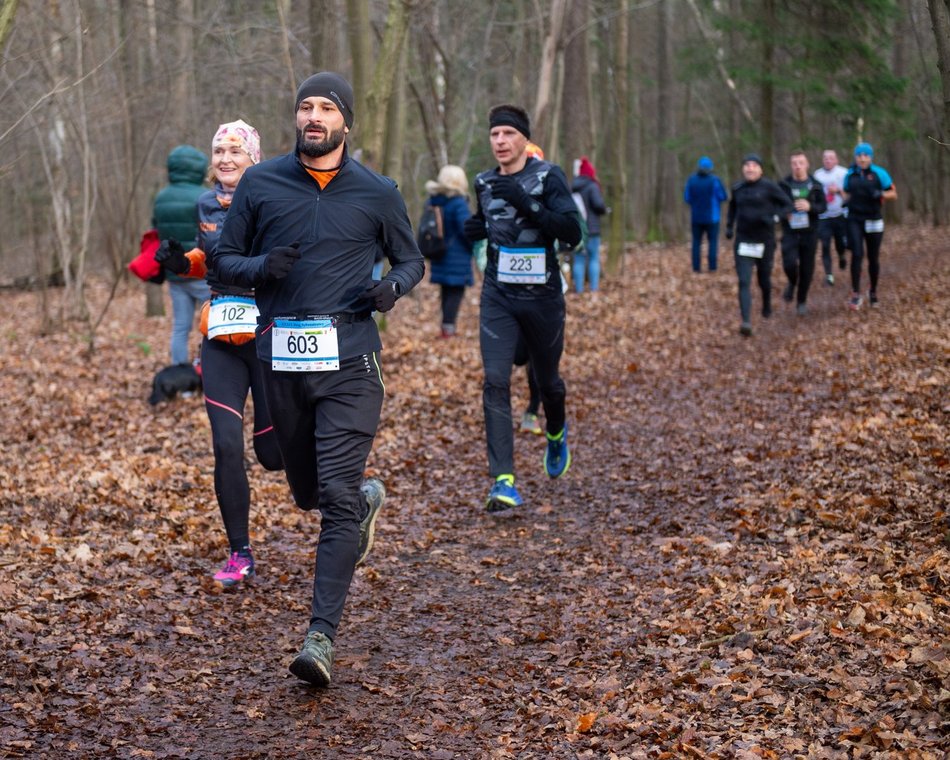 biegacze w lesie